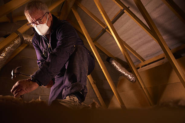 Best Energy Efficiency Solutions in Palm Coast, FL